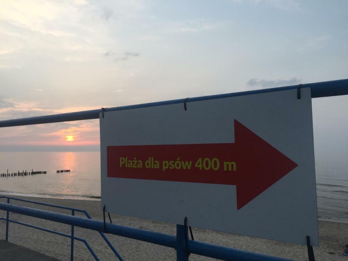 Apartamenty Blisko Plazy Podczele 코워브제크 외부 사진